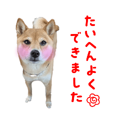 [LINEスタンプ] 福ちゃんだね♡日常編7