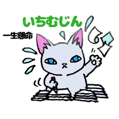 [LINEスタンプ] ほうせんか猫の部屋 土佐弁スタンプ