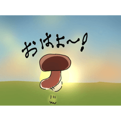 [LINEスタンプ] きのこのせいかつ