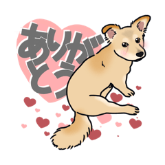 [LINEスタンプ] マロンちゃん(ᐡ.  ̫ .ᐡ )