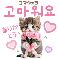 [LINEスタンプ] 韓国語♡気持ちを伝えるねこ