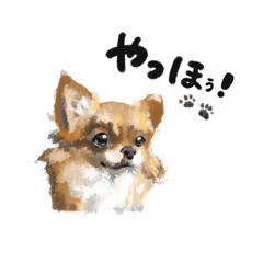 [LINEスタンプ] ちわっす、ちわわっす(黒文字ver)