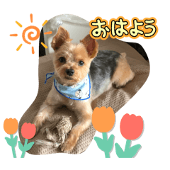 [LINEスタンプ] やっぱり大ちゃん