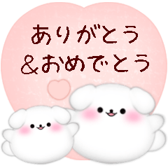 [LINEスタンプ] 【マルチーズ】ありがとう＆おめでとう