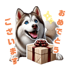[LINEスタンプ] 2月のシベリアンハスキー