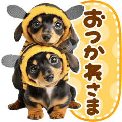 [LINEスタンプ] ダックスフント♡春日和