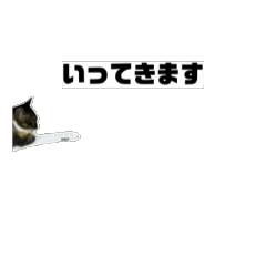 [LINEスタンプ] 動くぽぬわぬの画像（メイン）