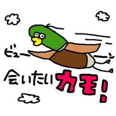 [LINEスタンプ] 鴨のスタンプカモ！