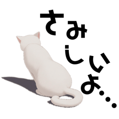 [LINEスタンプ] 可愛い白い猫