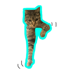 [LINEスタンプ] モコスタ（面白編の画像（メイン）