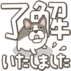 [LINEスタンプ] フレンチブルドッグの毎日デカ文字スタンプ