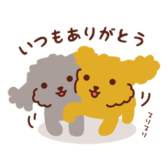 [LINEスタンプ] トイプードル色々_ 今の思い