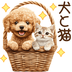 [LINEスタンプ] 癒しのコンビ♪トイプードルと猫