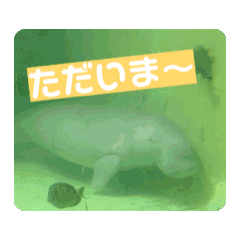 [LINEスタンプ] 海と陸のいきものたちの画像（メイン）