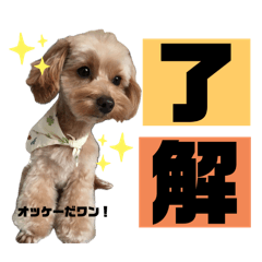 [LINEスタンプ] 濵﨑家♡