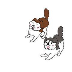 [LINEスタンプ] 兄妹わんこ