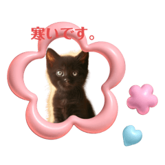 [LINEスタンプ] 黒猫ちゃんの冬