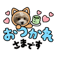 [LINEスタンプ] chouchou動く日常スタンプの画像（メイン）