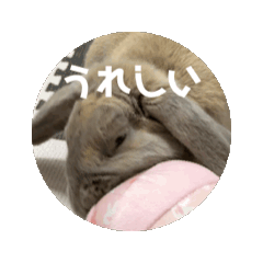 [LINEスタンプ] うごいたそいちゃ