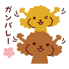 [LINEスタンプ] トイプードル_ 今の思い