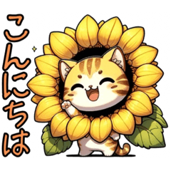 [LINEスタンプ] 花猫【向日葵にゃん】人気です❗️……..