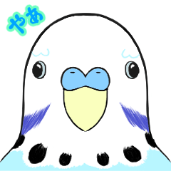 [LINEスタンプ] ふんわり共感セキセイインコ3