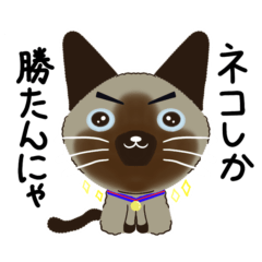 [LINEスタンプ] にゃん、にゃん、ネコちゃん。甘えん坊生活
