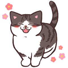 [LINEスタンプ] 今日もねこ日和