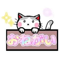 [LINEスタンプ] ネコ詰めパック【挨拶/返事/日常系】