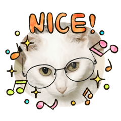 [LINEスタンプ] ねこx4