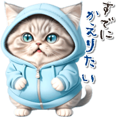 [LINEスタンプ] 水色推し猫♡毎日使える