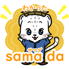 [LINEスタンプ] 毎日楽しく学ぶ！パシュトー語【日常会話】