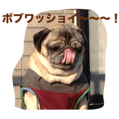 [LINEスタンプ] ハロー！パグのボブと仲間たち