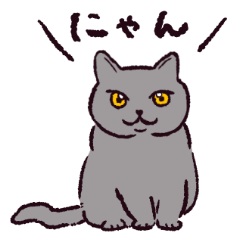 [LINEスタンプ] ブリティッシュショートヘアです