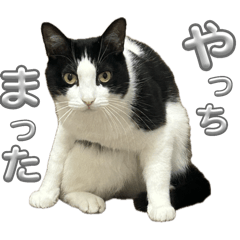[LINEスタンプ] RIRI＆RON⑭