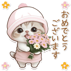 [LINEスタンプ] 可愛い猫 シール風 パステル 思いやり 敬語