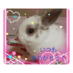 [LINEスタンプ] ラブリーうさたんの画像（メイン）