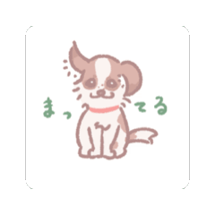 [LINEスタンプ] たれみみパピヨン《ルーク》