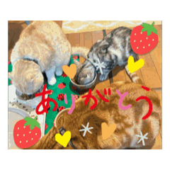 [LINEスタンプ] うごくうちの4にゃんと友だち猫の画像（メイン）