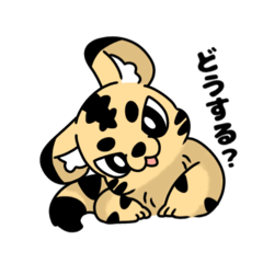 [LINEスタンプ] とらのスタンプ3だよ