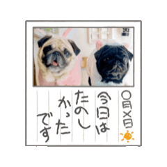 [LINEスタンプ] パグ犬きなこ＆あんこ3