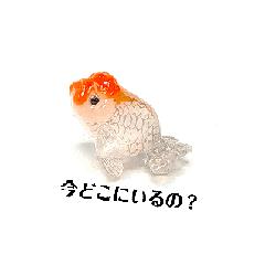 [LINEスタンプ] kiirobanagoldfish（動く金魚）