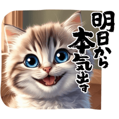 [LINEスタンプ] 可愛い子猫スタンプシリーズ