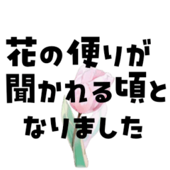 [LINEスタンプ] 優しく伝わる丁寧な言葉 大人の気づかい 春