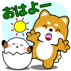 [LINEスタンプ] 飛び出す！豆柴＆ぽっちゃりシマエナガ