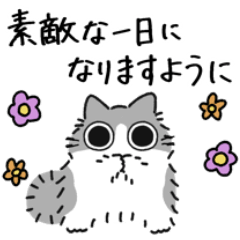 [LINEスタンプ] ねこぽっくる長毛グレーハチワレ【気遣い】