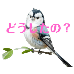 [LINEスタンプ] しまえなが 2