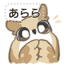 [LINEスタンプ] フクロウファミリ-日常編2-メッセージ