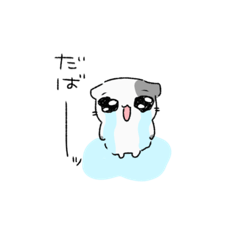 [LINEスタンプ] ねこ(13)