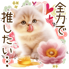 [LINEスタンプ] ずっと使える北欧柄と優しい水彩のねこ✿.*